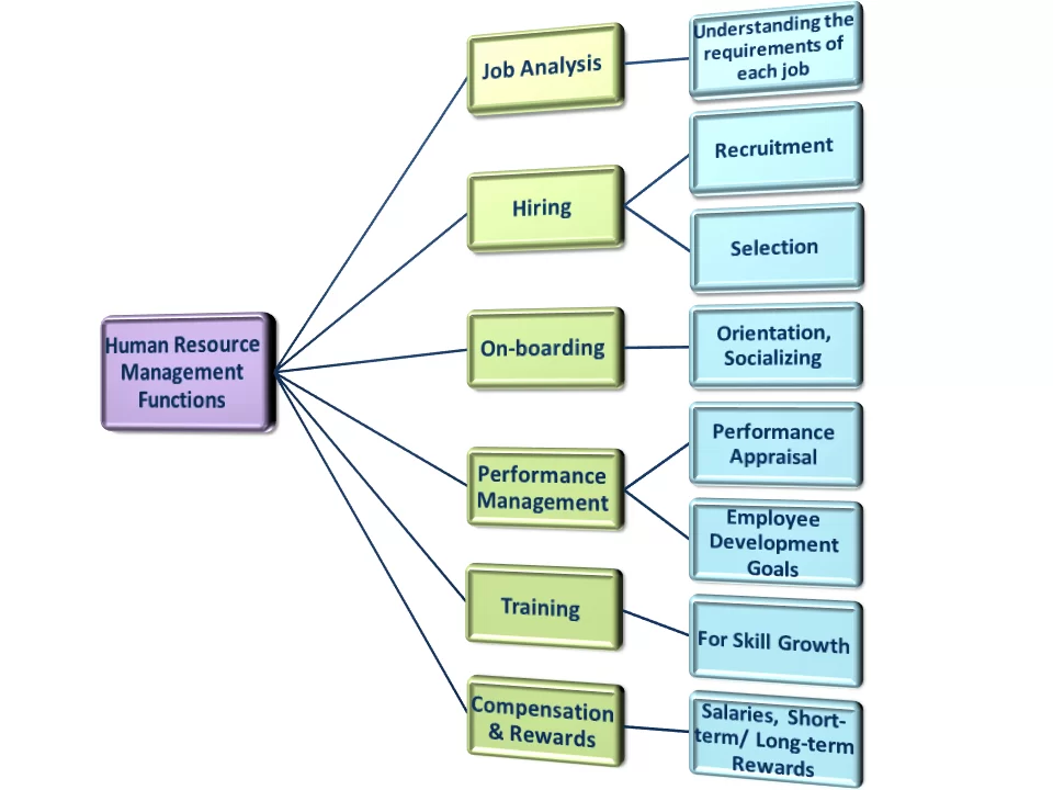 human resource management functions and objectives