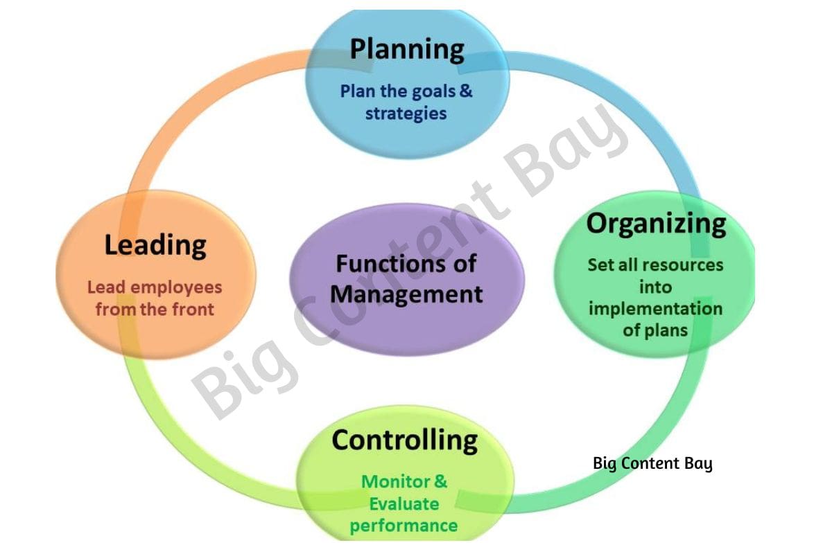 Managerial Functions Plan Organize Lead Control