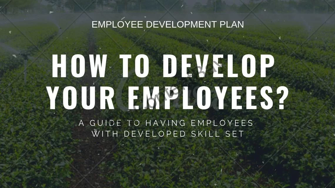 staff professional development plan